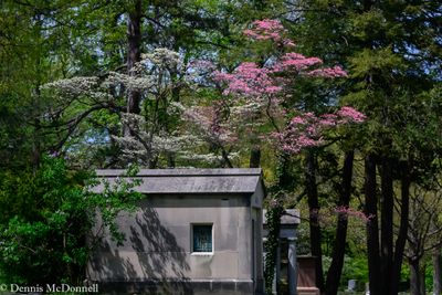DSC_9578.JPG