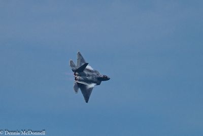 Z8Z_2561.JPG