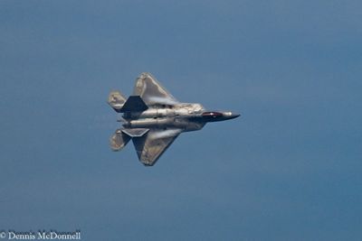 Z8Z_2579.JPG