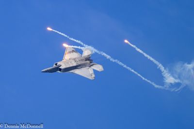 Z8Z_2880.JPG