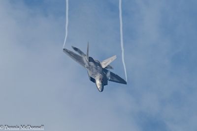 Z8Z_2963.JPG