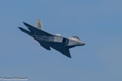 Z8Z_2973.JPG