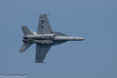 Z8Z_3269.JPG