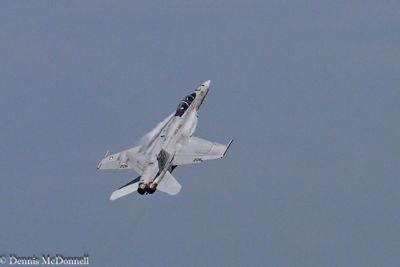 Z8Z_3323.JPG