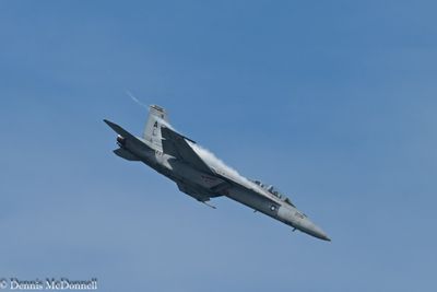 Z8Z_3363.JPG