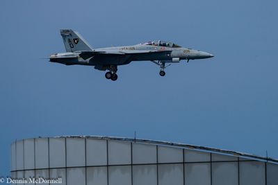 Z8Z_3722.JPG