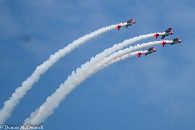 Z8Z_3854.JPG