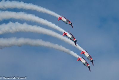 Z8Z_3892.JPG