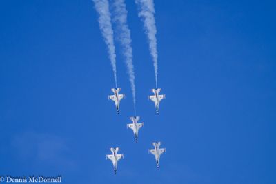 Z8Z_4441.JPG