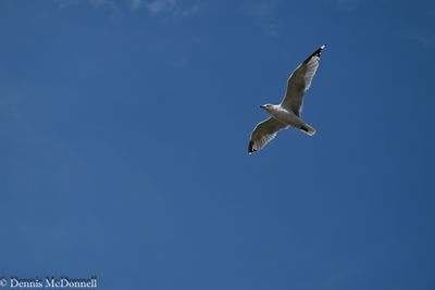g13/48/416048/3/173974383.5509e6e9.JPEG