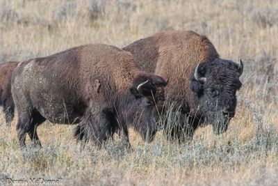 teton_trip_23