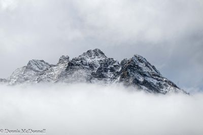 Z9I_8801.jpg