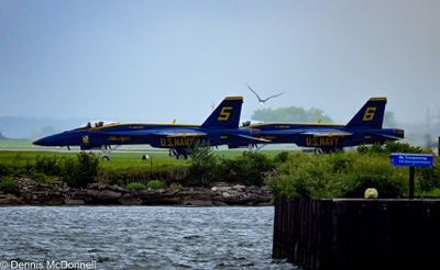 DSC_2867.jpg
