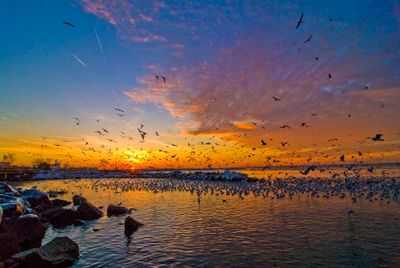 DSC_7657-copy.jpg