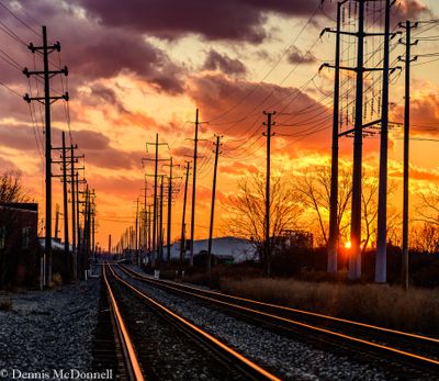 Z8Z_7718-2.JPG