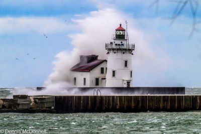 Z9I_2764-Edit-Edit.JPG