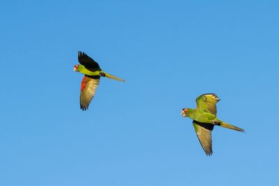 Z8Z_5048.jpg