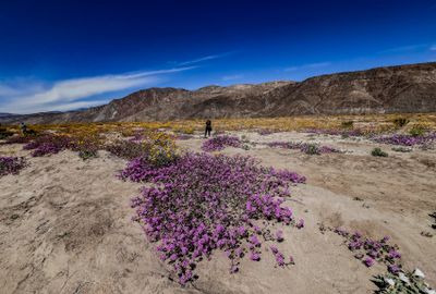 IMG_6181.JPG