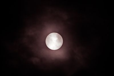 Z9I_7147-Edit.JPG