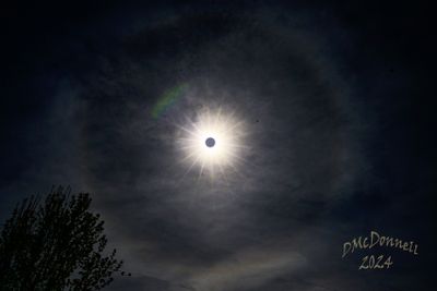 Z8Z_6080-Edit copy1.jpg