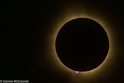 Z9I_7389-2.JPG