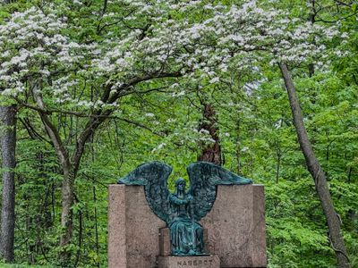 IMG_6479 - Copy.JPG
