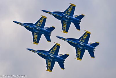 Z8Z_2896.JPG