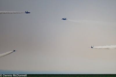 Z8Z_3656.JPG