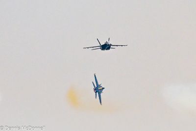 Z8Z_3679.JPG