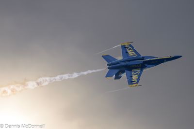 Z8Z_3780.JPG