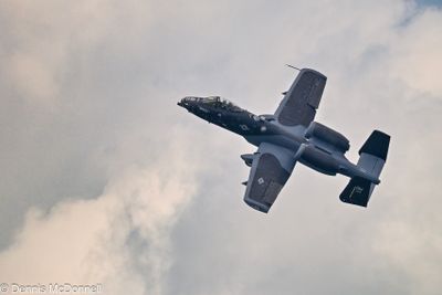 Z8Z_5063.JPG