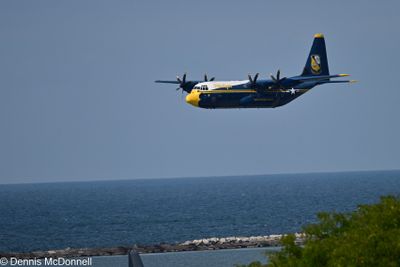 Z8Z_5184.JPG