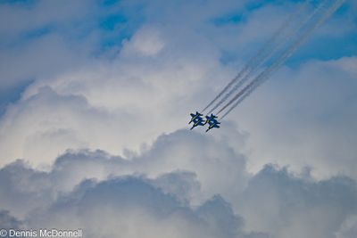 Z8Z_5252.JPG