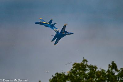 Z8Z_5378-Edit.JPG