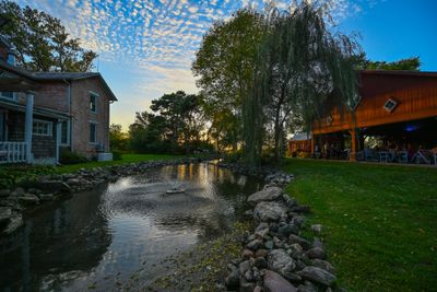 Z63_0478.JPG