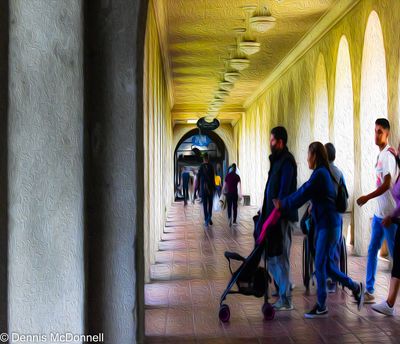 DSC_3727-Edit.jpg