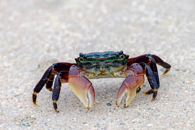 DSC_4760_184DSC_4760.jpg