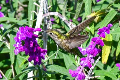 DSC_1039.jpg