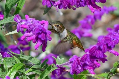 DSC_1105.jpg