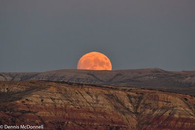 DSC_9353.jpg