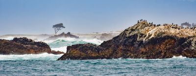 DMC_2078-2-Edit.JPG