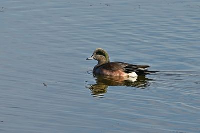 Z9I_6473.JPG
