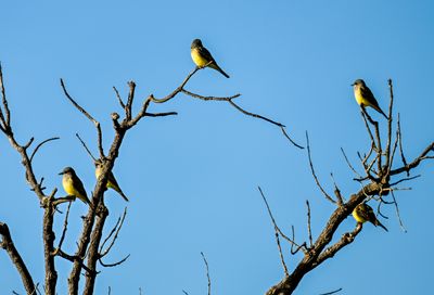 Z9I_7753.JPG