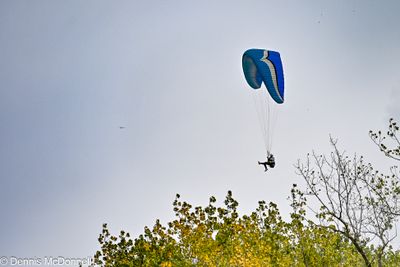 Z63_0232.JPG