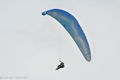 Z63_0241.JPG