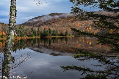 Z63_0767.JPG