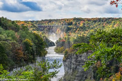 Z63_0779.JPG