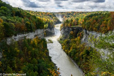 Z63_0791.JPG