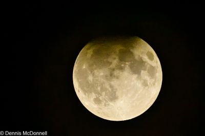 Z9I_1125.JPG