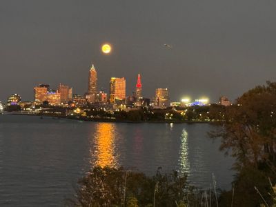 IMG_7464.JPG